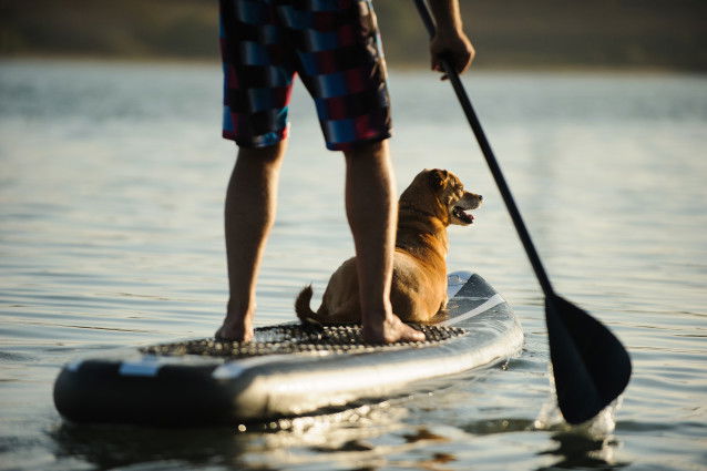 Un homme fait du paddle avec son chien