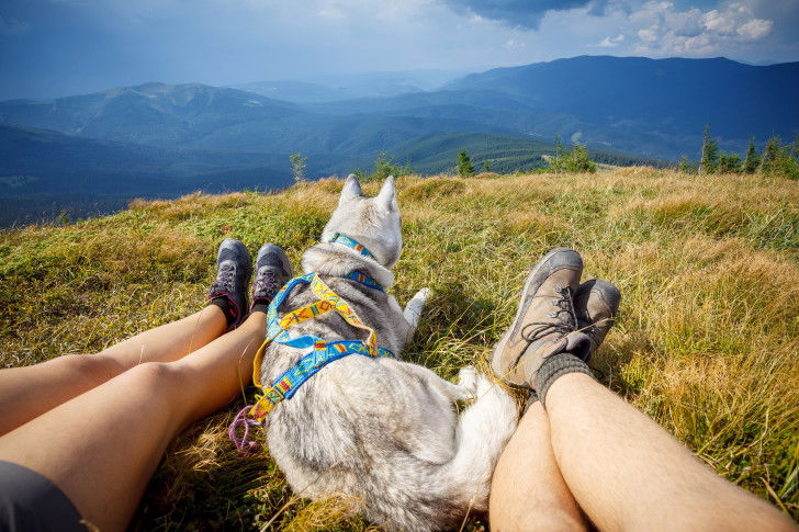 Un couple avec un chien font une randonnée en montagne
