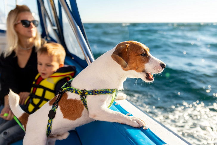 Une famille et son Jack Russell sur un bateau en pleine mer