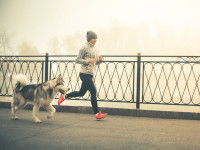C'est complémentaire des promenades habituelles avec lui