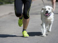 Pour susciter de la sympathie autour de vous