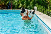 Une femme fait entrer son chien dans la piscine