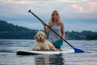 Qu'est-ce que le cani-paddle ?