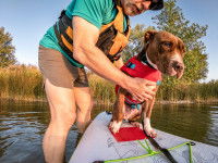 Un homme aide son chien à monter sur le paddle