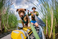 Un homme et son chien font du paddle au milieu des roseaux