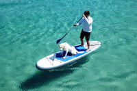 Un homme fait du paddle avec son chien sur une eau turquoise