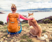 Les règles à respecter en cani-rando