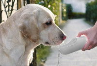 Un Labrador blanc boit dans une gourde pour chien