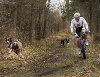 Le Cani-VTT de compétition