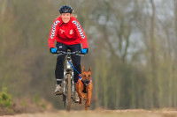 Les premières sorties de Cani-VTT avec son chien