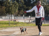 Un sport canin accessible à tous les chiens
