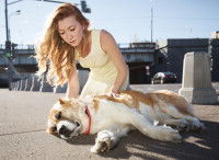 Un chien &eacute;puis&eacute; est allong&eacute; sur le sol &agrave; c&ocirc;t&eacute; de sa ma&icirc;tresse