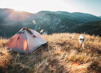 Un chien marche &agrave; c&ocirc;t&eacute; d'une tente pos&eacute;e en montagne