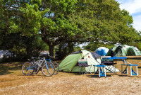 Un site de camping o&ugrave; plusieurs tentes sont install&eacute;es