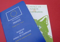 Le carnet de sant&eacute; et le passeport europ&eacute;en d'un chien fran&ccedil;ais