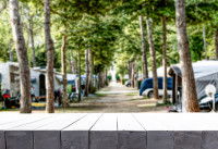 Un camping am&eacute;nag&eacute; dans lequel sont visibles plusieurs caravanes