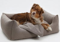 Un chien couch&eacute; dans son panier