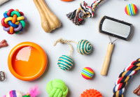 Des jouets pour chien &eacute;tal&eacute;s sur le sol