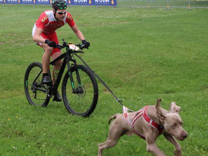 Dog Runner - Accessoire cani-vtt pour faire du vélo avec son chien