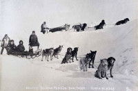 Une ancienne compétition du Nome Kennel Club