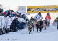 Arrivée de la course Yukon Quest