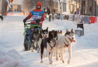 Un traîneau et son musher tirés par des Huskies Sibériens