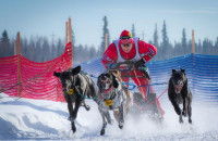 Un concurrent d'une course de pulka