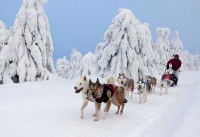 De janvier à mars : période d’entraînement spécifique et de compétition