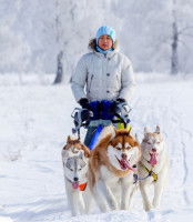 Les débuts en compétition d’un musher