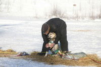 © Hannah Borgerding