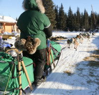 © Hannah Borgerding