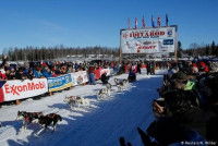 Point de départ de l'Itidarod Trail Sled Dog race