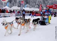 Un musher et son petit traîneau de Husky participant à la Grande Odyssée Savoie - Mont Blanc