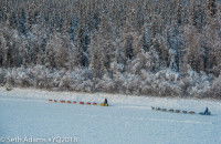 Piste de course de la Yukon Quest à côté de la forêt