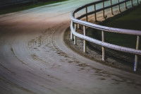 L’histoire des courses de lévriers