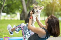 Où et comment pratiquer le doga avec son chien ?