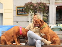 Les relations sociales stimulent mentalement le chien