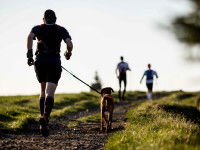 Les activités physiques stimulent l'activité mentale du chien