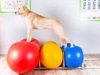 Le maintien des balles volumineuses