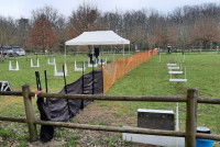 Le terrain de flyball d'un club canin