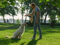 Un homme ordonnant à son chien de s'asseoir