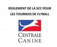 Le règlement pour les tournois de flyball en France