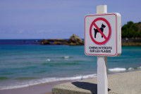 Une plage avec un panneau interdisant la présence de chiens