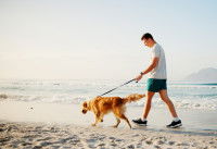 Un homme promenant son chien en laisse sur une plage