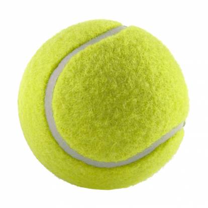 Lanceur de balles pour chien - Jouet Maxi Speed pour le lancer de balles