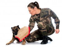 Comment se pratique le mordant ?