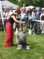 Pratiquer l'obérythmée