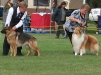 Les différentes catégories du pistage français