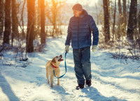 Un Labrador et son maître en promenade dans un bois enneigé