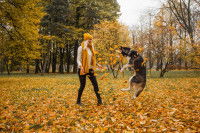 Une femme et son chien jouant dehors avec les feuilles d'automne